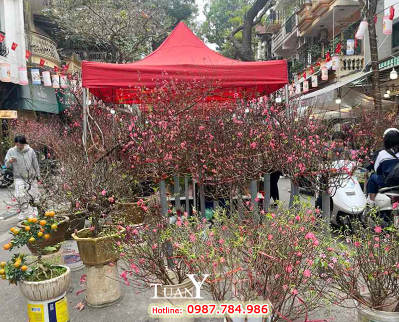 Lựa chọn nhà bạt di động bán hàng ngày Tết tiện lợi